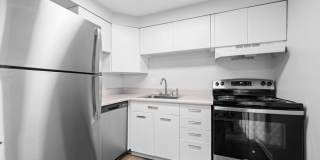 South Majestic Gallery 1