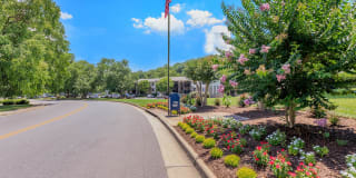 Walden Pond Gallery 24