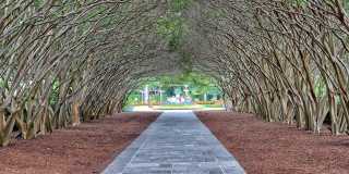 Windsor on White Rock Lake Gallery 37