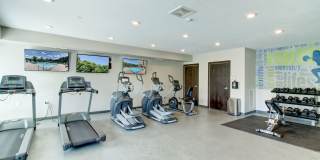 Viridian Central Gallery 10