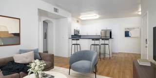Skyview Gallery 22