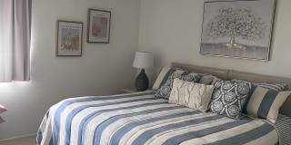 255 Dolphin Point Gallery 42