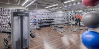 AVA Van Ness Gallery 16