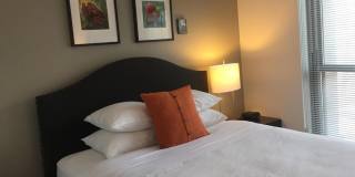 New High Rise Fenway-Back Bay Gallery 3