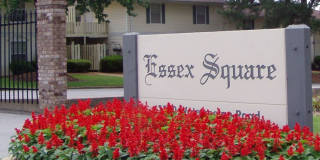 Essex Square Apartments Gallery 29