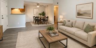 Beautifully Remodeled | 1 Bed · 1 Bath | Pet Friendly Gallery 3
