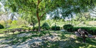 Ridgecrest Apartments Gallery 37