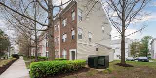 42461 ROCKROSE Square Gallery 5
