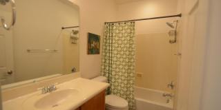 12344 W ALYSSA Lane Gallery 14