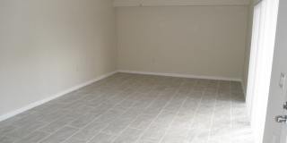 SANDALWOOD Gallery 5