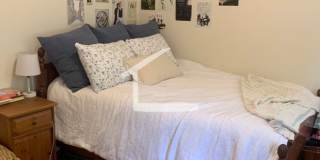 Nicely updated 3 bed near Coolidge Corner and BU! Gallery 14