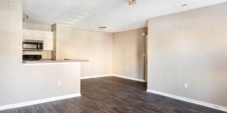 Galleria Park Gallery 20