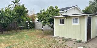 3912 Maple Gallery 18