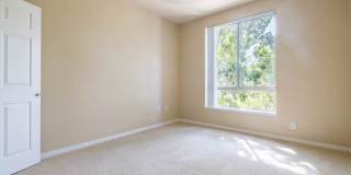 City Pointe Gallery 1