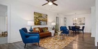 Belle Mor Luxury Apartments Gallery 3