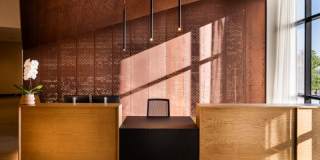 Olive Gallery 18