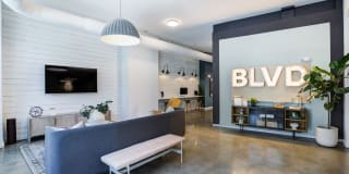 The Boulevard Gallery 15