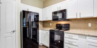 The Canyons Gallery 77