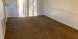 Southside-Near Oglethorpe Mall & South College Gallery 4