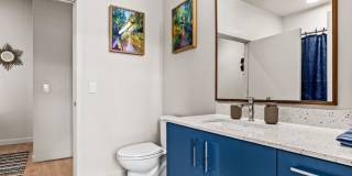 Portal Gallery 46