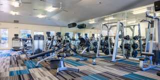 Travesia Apartments Travesia Apartments Gallery 19