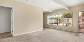 Coliseum Gallery 8