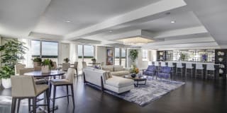 Sofia Coral Gables Gallery 5