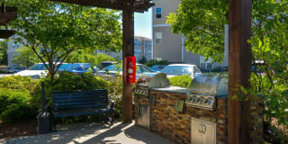 Lux at Stoughton Gallery 21