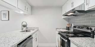 Ardella on 28 Gallery 3