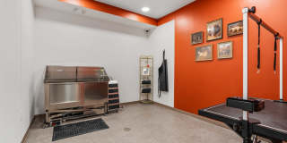 The Revival Gallery 66