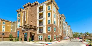 Belle Spring Branch Gallery 3