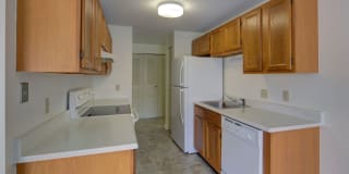 Town and Country Gallery 12