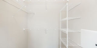 RIZE at Winter Springs Gallery 98