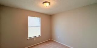 7 Pinto Pt Gallery 5