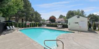 Foothills Gallery 25