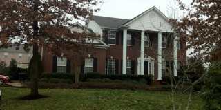 McKay's Mill McMansion Gallery 1