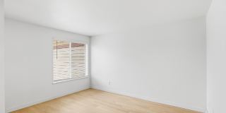 The Finch Gallery 20