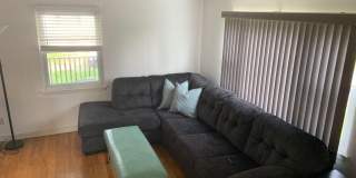 17 Clarence Avenue Gallery 11