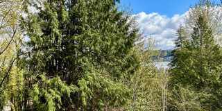 2 Bed / 2 Bath Lakeview Bellevue cottage $3,295/month Gallery 22