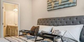 12258 SESSILE CMNS Gallery 30