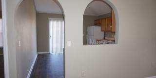 6648 Gentle Oaks Drive East Gallery 5