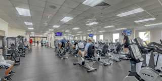 51 Tilford C Gallery 33