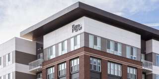 Fellow at Fitz Gallery 44