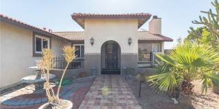 27350 Melanita Gallery 1
