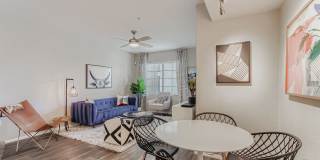 Mandarina Apartment Homes Gallery 61