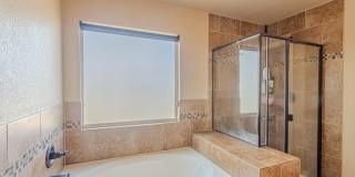 3240 PERUVIAN PASO Drive Gallery 26