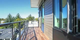 The Fifty at Division Gallery 15