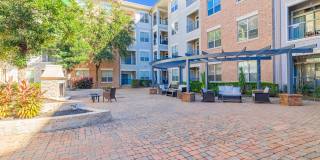 Domain at Kirby Gallery 71