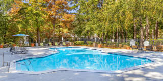 The Hargrove at Southpoint Gallery 6