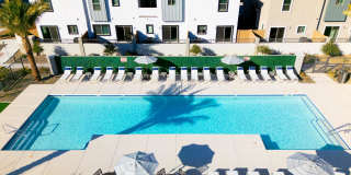 Banyan at 17 North Gallery 9